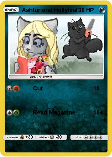 Pokemon Ashfur and Hollyleaf