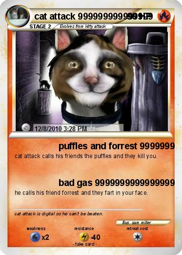 Pokemon cat attack 999999999999999
