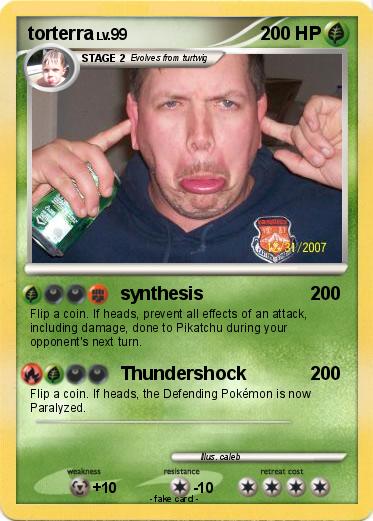 Pokemon torterra