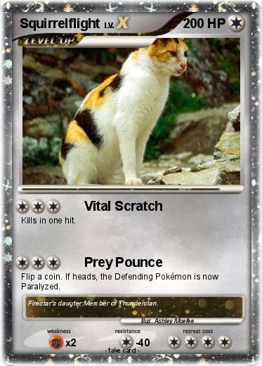 Pokemon Squirrelflight