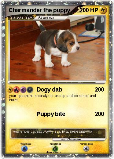 Pokemon Charmander the puppy