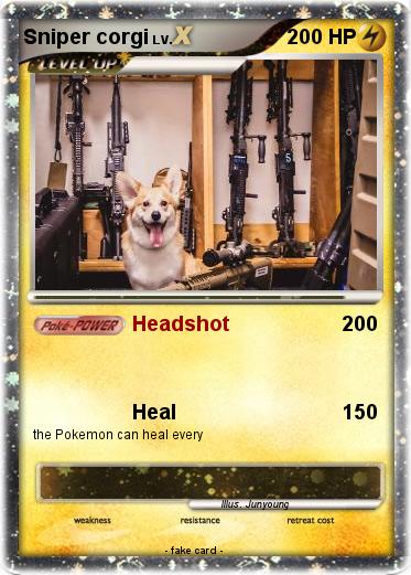 Pokemon Sniper corgi