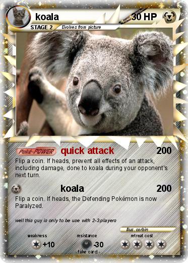 Pokemon koala