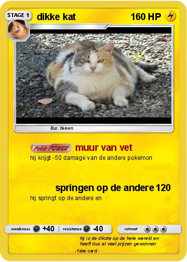 Pokemon dikke kat