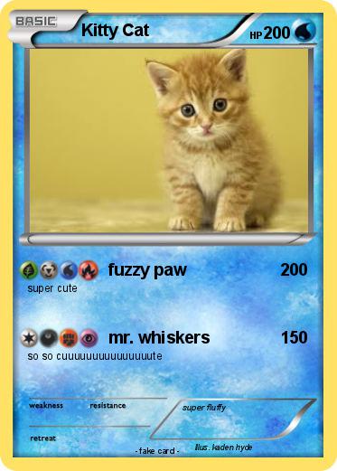 Pokemon Kitty Cat