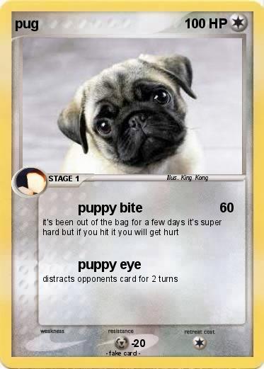 Pokemon pug