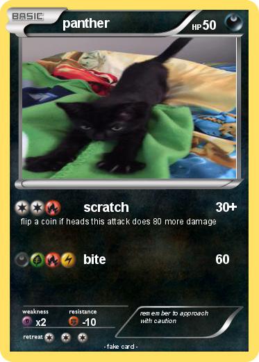 Pokemon panther