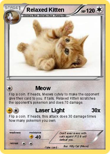 Pokemon Relaxed Kitten