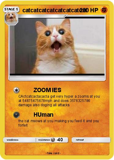 Pokemon catcatcatcatcatcatcatcat