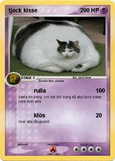 Pokemon tjock kisse