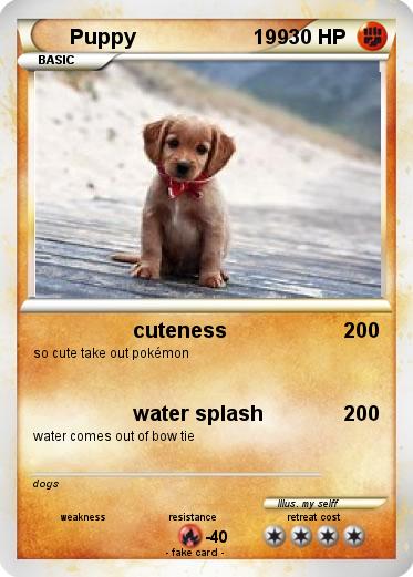Pokemon Puppy                     199