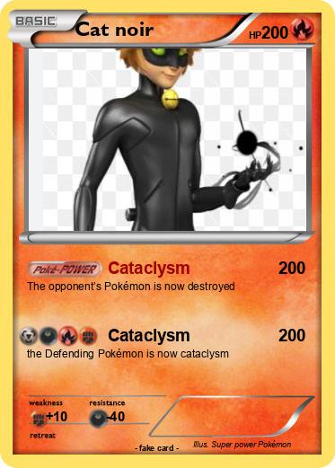 Pokemon Cat noir
