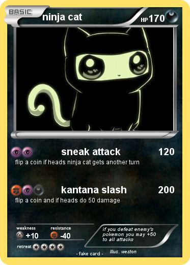 Pokemon ninja cat