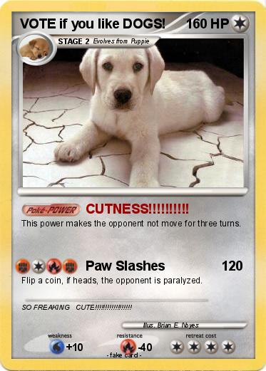 Pokemon VOTE if you like DOGS!
