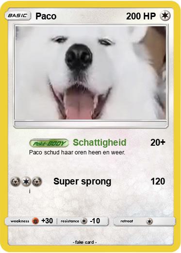 Pokemon Paco