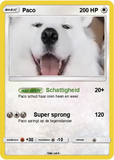 Pokemon Paco