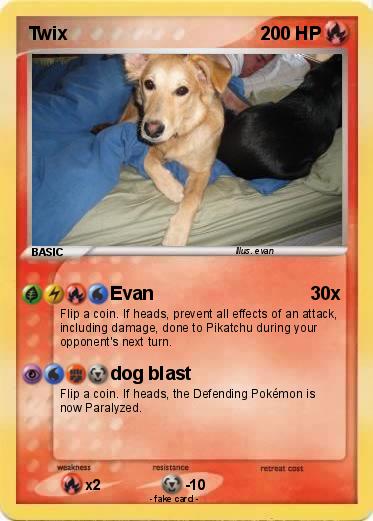 Pokemon Twix