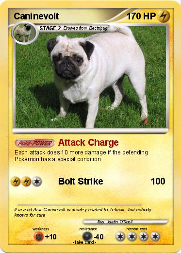Pokemon Caninevolt