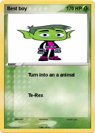 Pokemon Best boy