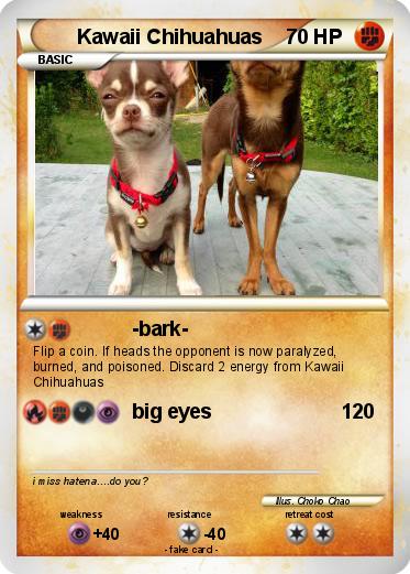 Pokemon Kawaii Chihuahuas