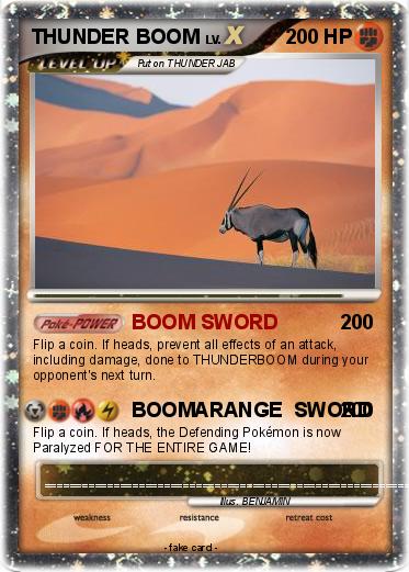 Pokemon THUNDER BOOM