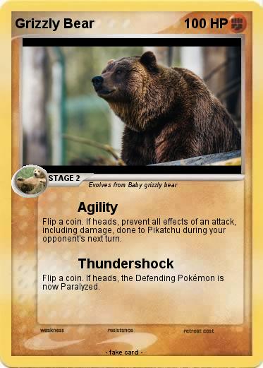 Pokemon Grizzly Bear