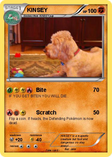 Pokemon KINSEY