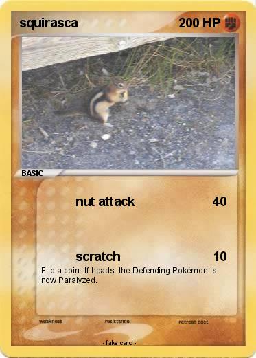 Pokemon squirasca