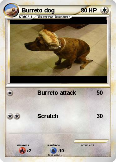 Pokemon Burreto dog
