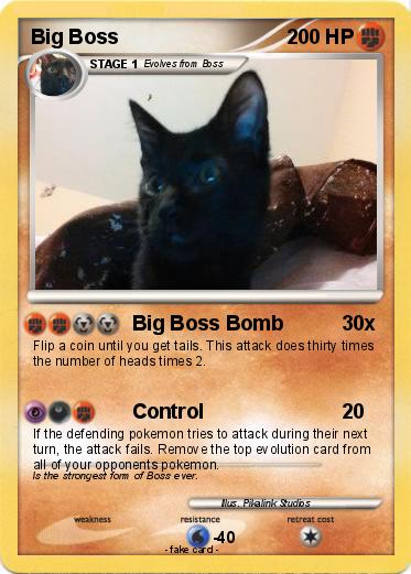 Pokemon Big Boss