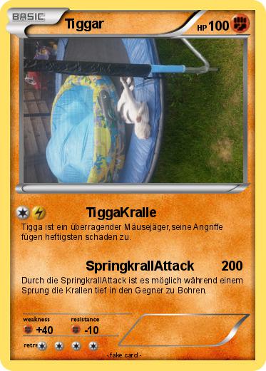 Pokemon Tiggar