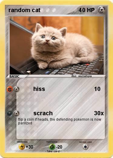 Pokemon random cat