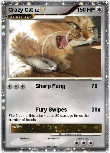 Pokemon Crazy Cat