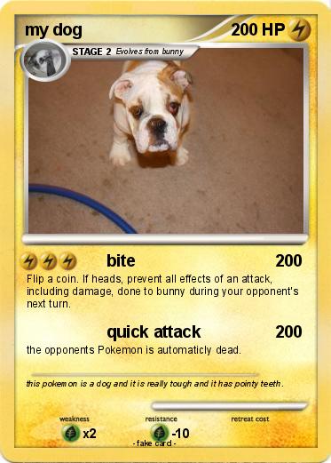 Pokemon my dog