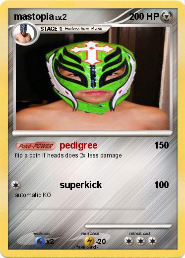 Pokemon mastopia