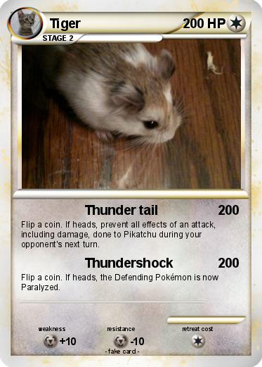 Pokemon Tiger