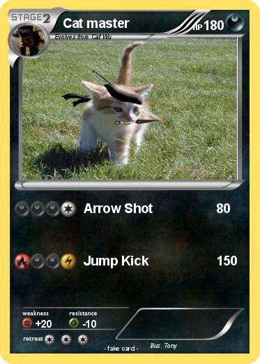 Pokemon Cat master