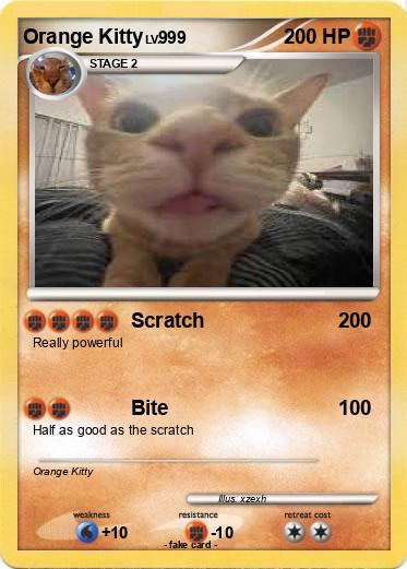 Pokemon Orange Kitty
