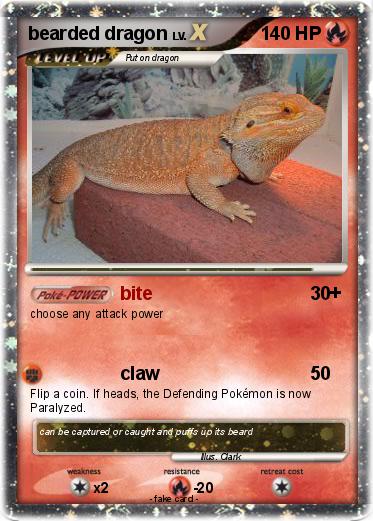 Pokemon bearded dragon