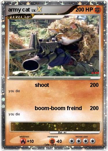 Pokemon army cat