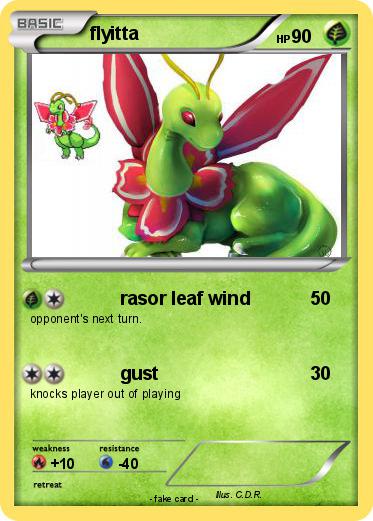 Pokemon flyitta