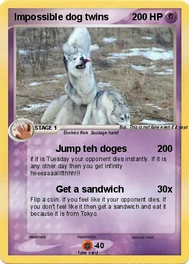 Pokemon Impossible dog twins