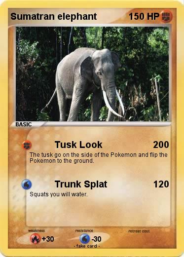 Pokemon Sumatran elephant
