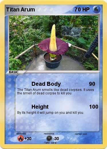 Pokemon Titan Arum