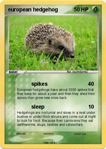 Pokemon european hedgehog