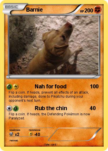 Pokemon Barnie