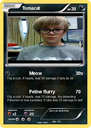 Pokemon Tomacat