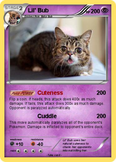 Pokemon Lil' Bub