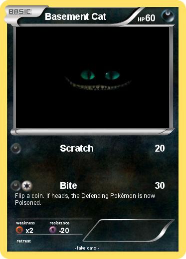 Pokemon Basement Cat