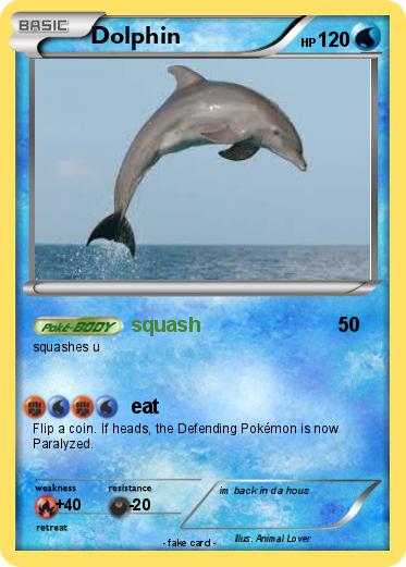 Pokemon Dolphin